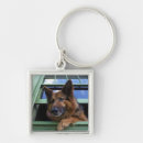 Search for companions key rings Animal