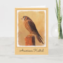 Search for kestrel cards Falcon