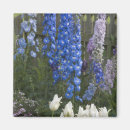 Search for garden path magnets Bloom