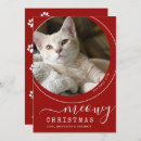 Search for stockings christmas cards Pet