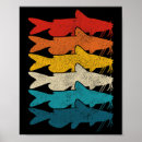 Search for carp fishing posters Brook trout