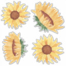 Search for large sunflower stickers Yellow