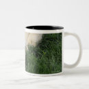 Search for dog with ball mugs Playful