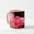 Search for branch mugs Nature
