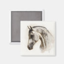 Search for equestrian magnets Dressage