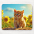 Search for ginger mouse mats Flowers