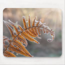 Search for fern mouse mats Leaf