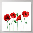 Search for poppy art Botanical