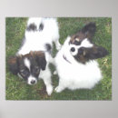 Search for molly posters Cute
