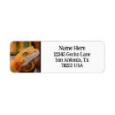 Search for lizard return address labels Nature