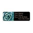 Search for seafoam green return address labels Aqua