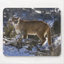 Search for captivating mouse mats Big cat