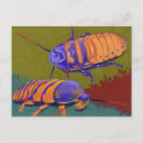 Search for hissing postcards Halloween