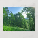 Search for earth tree postcards Forest