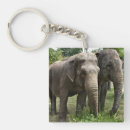 Search for elephant gifts Animals