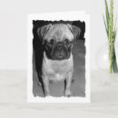 Search for i miss my missing cards Pug