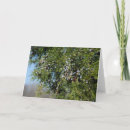 Search for cedar cards Berries