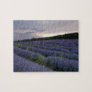 Search for lavender field puzzles Europe