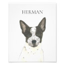Search for heeler posters Black and white
