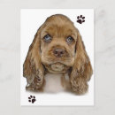 Search for cocker postcards Animals