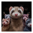 Search for ferret art posters Fun