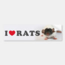 Search for rat bumper stickers Black