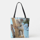 Search for koala bags Australia