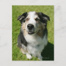 Search for loyalty vertical postcards Outdoors