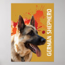 Search for german shepherd photo posters Puppy