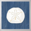Search for sand dollar posters White