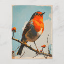 Search for birdwatching vertical postcards Vintage