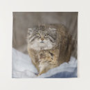 Search for pallas cat Nature