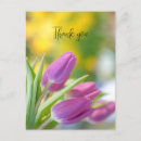 Search for beautiful spring cards Tulips