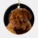 Search for dogue de bordeaux christmas tree decorations Animal