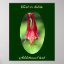 Search for columbine posters Floral