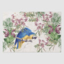 Search for gold macaw Wildlife