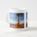 Search for bryce canyon national park mugs Nature