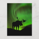Search for alaska range postcards Aurora