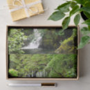 Search for waterfall tissue paper Trees