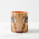 Search for stare mugs Photograph