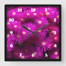Search for aster art Daisies