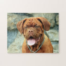 Search for dogue de bordeaux gifts Portrait