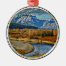 Search for grand teton national park christmas tree decorations Outdoors