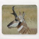 Search for profiling mouse mats Outdoors