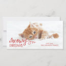 Search for cute kitten christmas cards Funny