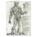 Search for vascular Human