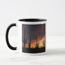 Search for saguaro mugs Sonoran desert