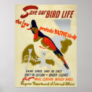 Search for save birds posters Environment