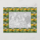 Search for black eyed susans postcards Daisy