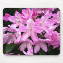 Search for rhododendrons mouse mats Photography
